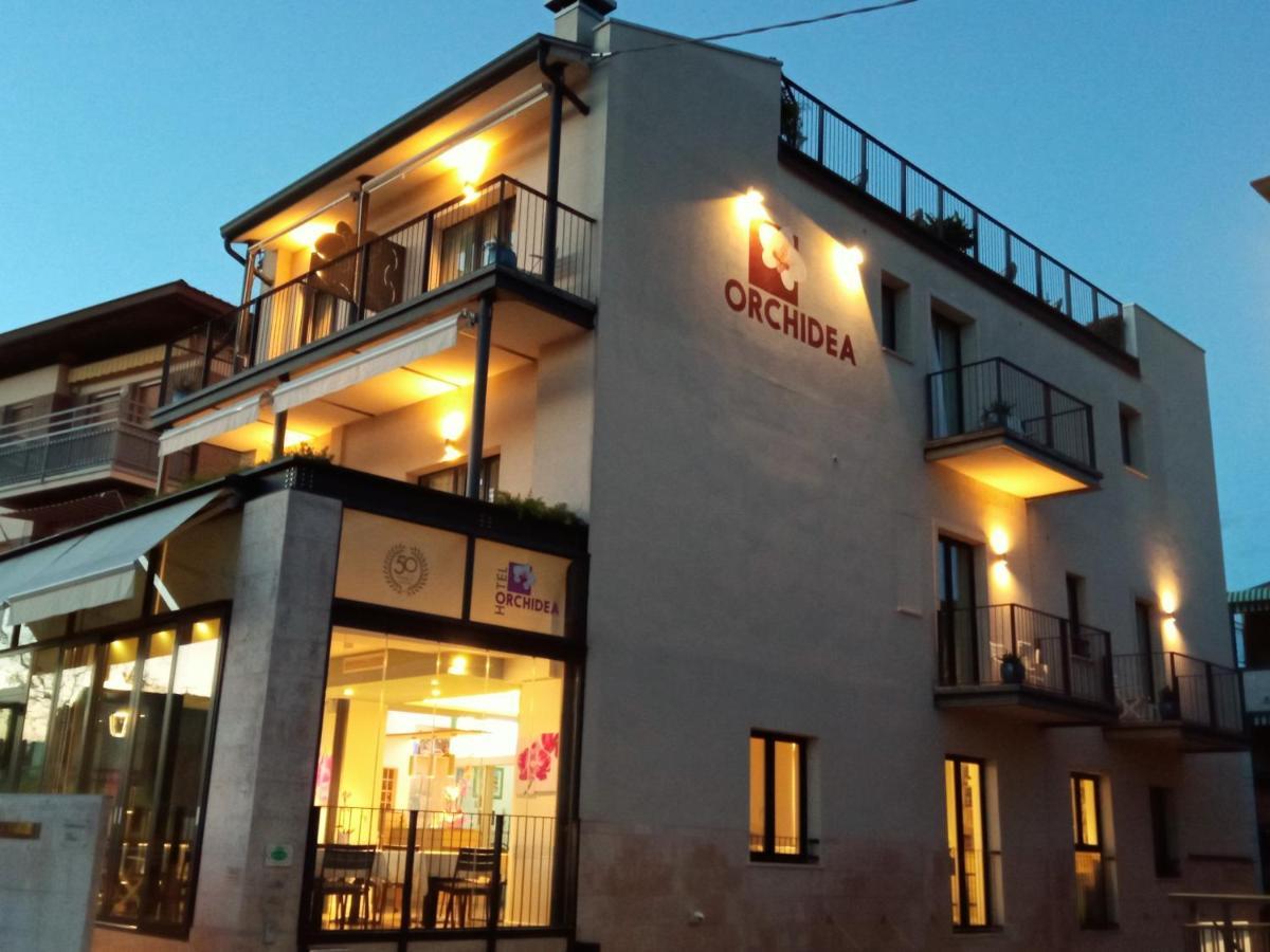 Hotel Orchidea Bardolino Eksteriør billede